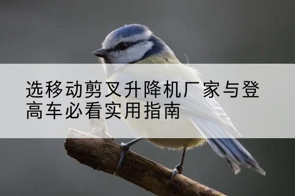 仁布电动升降机厂家-选移动剪叉升降机厂家与登高车必看实用指南
