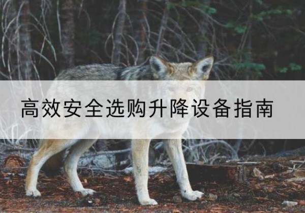 仁布升降货梯厂家推荐-*安全选购升降设备指南
