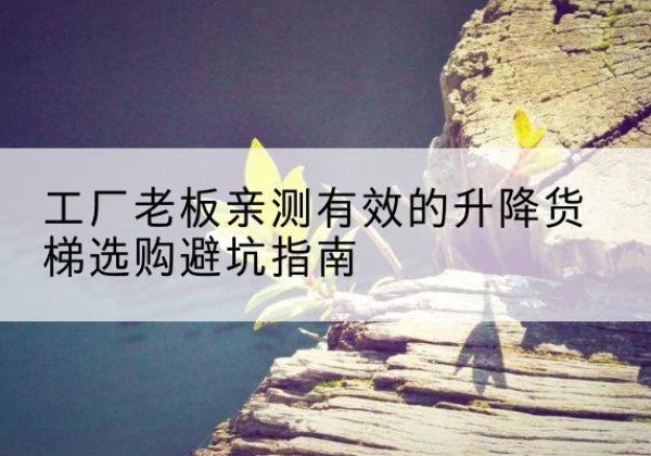 仁布升降货梯怎么选-工厂老板亲测有效的升降货梯选购避坑指南